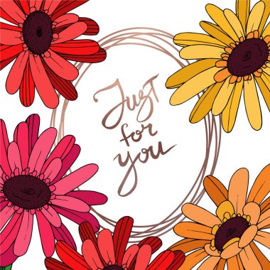 Vektör Gerbera çiçekli botanik çiçeği. Siyah ve beyaz oymalı