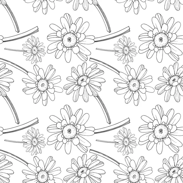 ベクトル・ゲルベラ花植物花。黒と白の彫刻 — ストックベクタ
