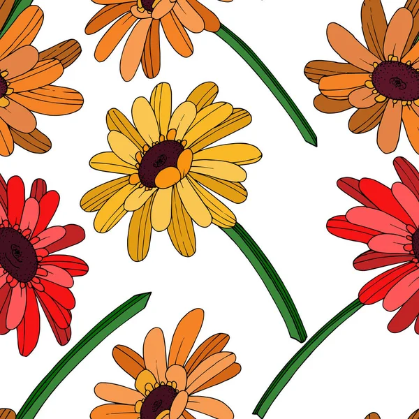 Vector Gerbera floral βοτανικό λουλούδι. Μαύρο και άσπρο χαραγμένο — Διανυσματικό Αρχείο