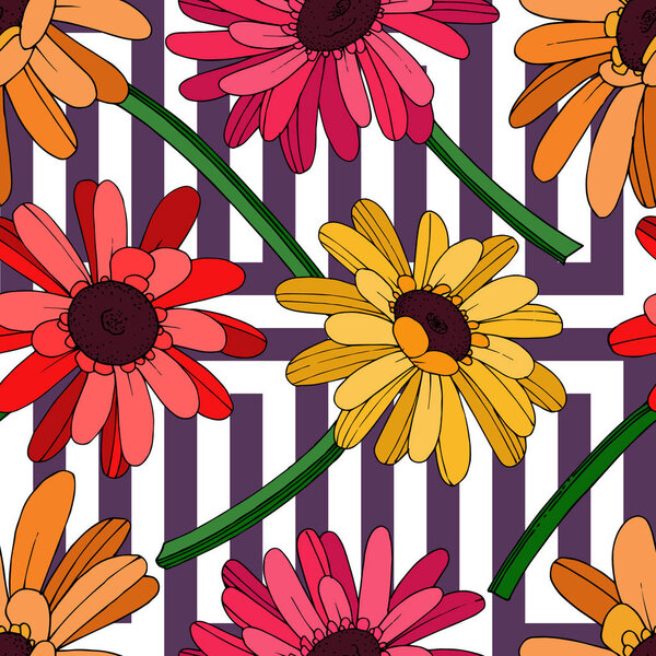 Vector Gerbera floral botanical flower. Black and white engraved