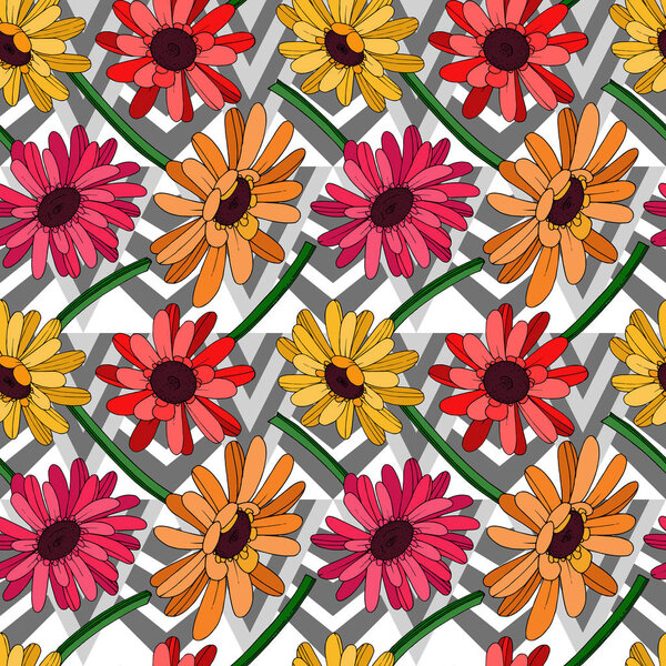 Вектор Гербера цветочный ботанический цветок. Чёрно-белая гравировка
