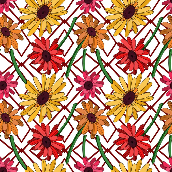 Vector Gerbera floral βοτανικό λουλούδι. Μαύρο και άσπρο χαραγμένο — Διανυσματικό Αρχείο