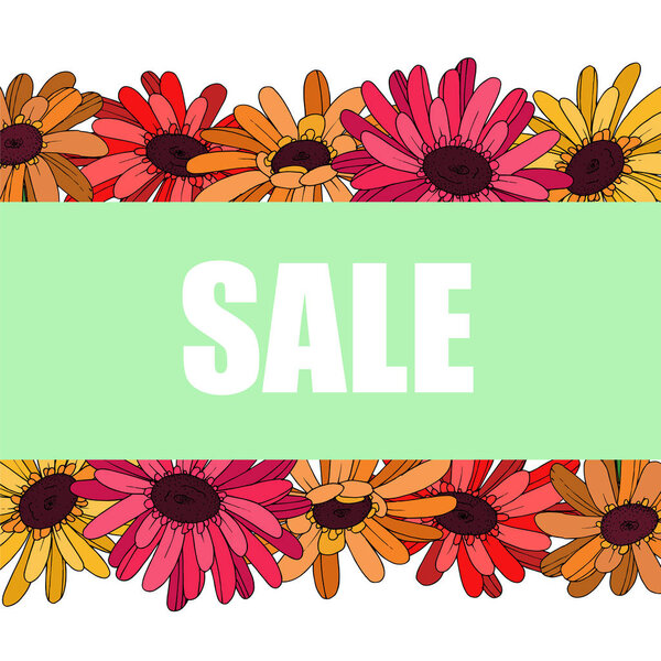 Вектор Гербера цветочный ботанический цветок. Чёрно-белая гравировка
