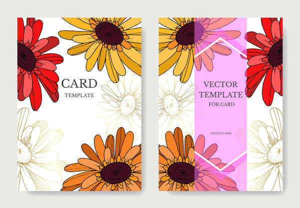 Vector Gerbera floral botanical flower. Black and white engraved
