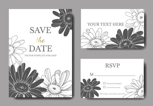 Vector Gerbera floral botanical flower. Black and white engraved