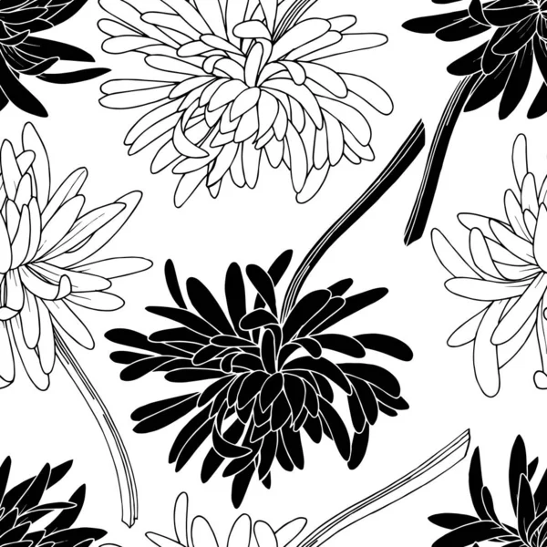Vektor Chrysantheme Blumen botanische Blume. Schwarz-weiß gestochene Tuschekunst. nahtloses Hintergrundmuster. — Stockvektor