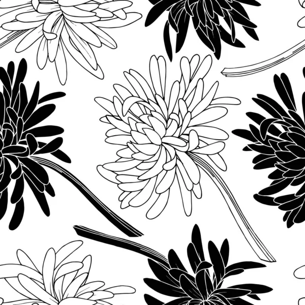 Vektor Chrysantheme Blumen botanische Blume. Schwarz-weiß gestochene Tuschekunst. nahtloses Hintergrundmuster. — Stockvektor