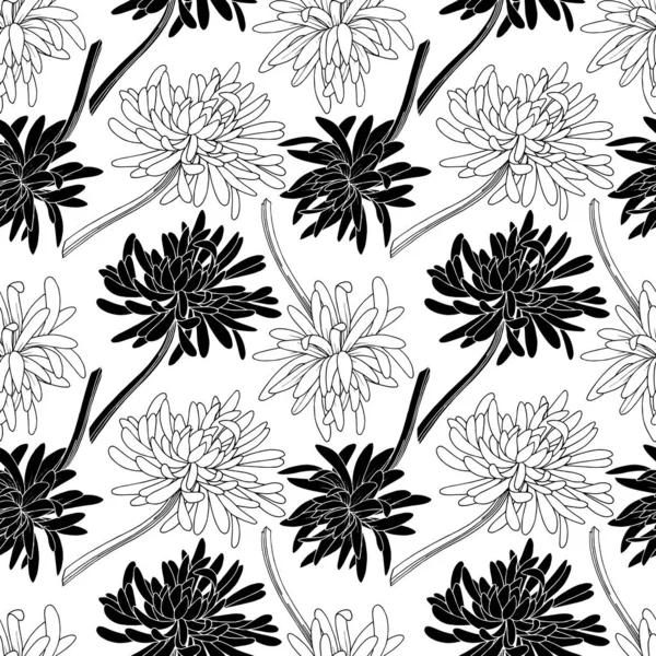 Vektor Chrysantheme Blumen botanische Blume. Schwarz-weiß gestochene Tuschekunst. nahtloses Hintergrundmuster. — Stockvektor