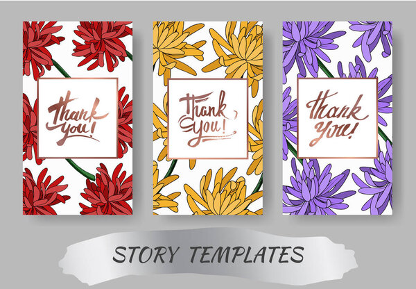 Vector Chrysanthemum floral botanical flower. Black and white engraved ink art. Wedding background card.