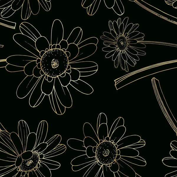 Vector Gerbera flor botânica floral. Preto e branco gravado Ilustrações De Stock Royalty-Free