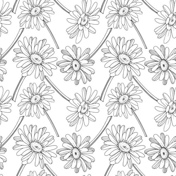 Vector Gerbera floral botanical flower. Black and white engraved Vector Graphics