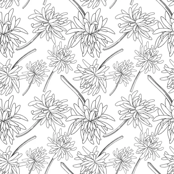 Vector Chrysanthemum ανθικό βοτανικό λουλούδι. Μαύρο και άσπρο χαραγμένο μελάνι τέχνης. Χωρίς ραφή μοτίβο φόντου. Διάνυσμα Αρχείου