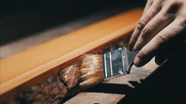 Trabalhador de madeira para pintar sobre a casca da madeira do ulmeiro, para protegê-lo do meio ambiente — Vídeo de Stock