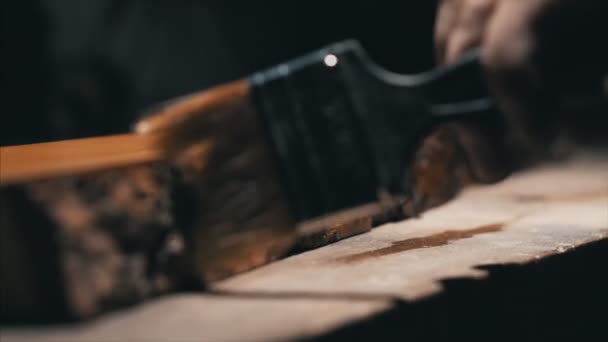 Dichterbij bekijken, verf de schors van de iep, waardoor een beschermende laag olie, borstel geeft textuur aan het hout — Stockvideo