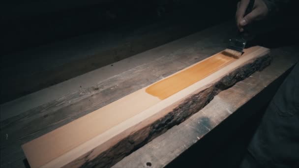 Крупный план, плотник кладет первый слой защитного масла покрытия на заготовку — стоковое видео