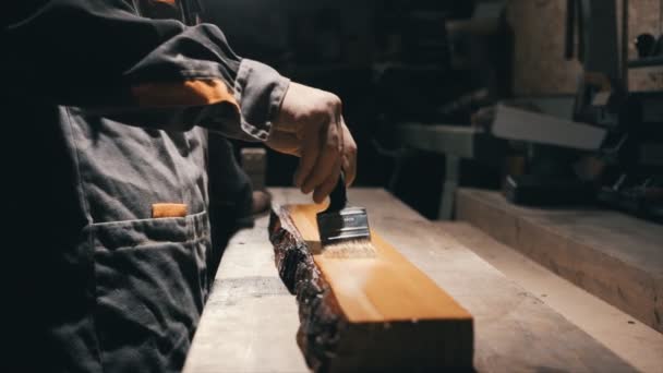 Närbild, trä arbetare använder en borste och olja för trä, olja används för att stärka trä — Stockvideo