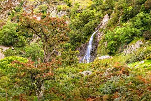 Aber Falls no Parque Nacional de Showdonia — Fotografia de Stock