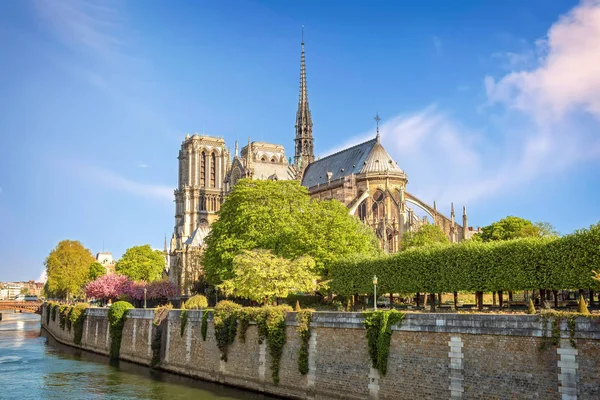 Catedral Notre Dame de Paris — Foto de Stock