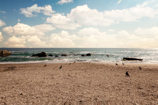 Одесса, Украина. - Да. Вид на один из самых красивых песчаных пляжей Черноморского побережья . — стоковое фото