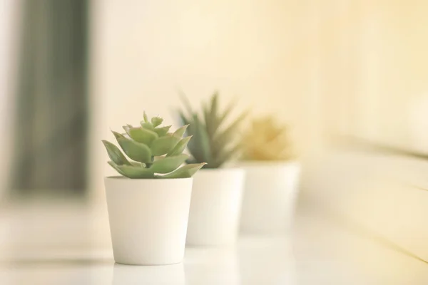 Pianta verde sul davanzale della finestra. fiore artificiale in un vaso bianco sul davanzale della finestra . Immagine Stock