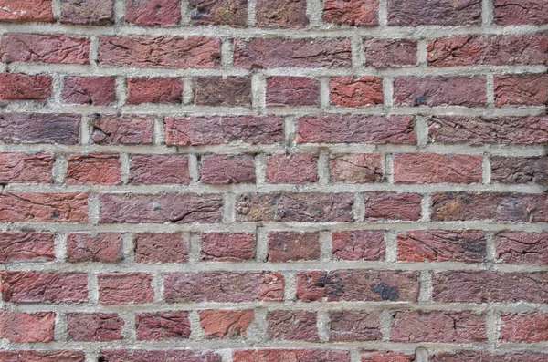 Backsteinmauern Antwerpen Belgien — Stockfoto