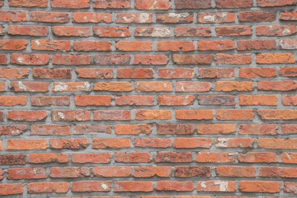 Backsteinmauern Antwerpen Belgien — Stockfoto
