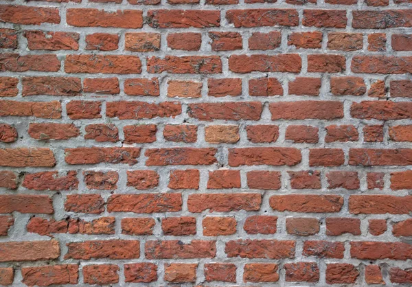 Brick Wall Background Pattern Antwerpen Belgium — Stock Fotó