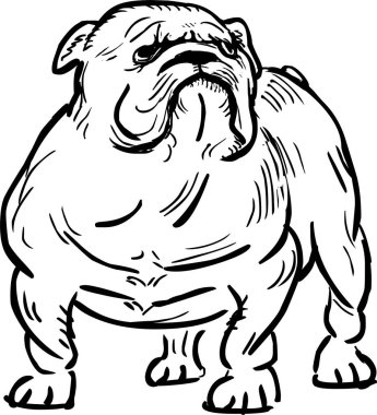 komik İngilizce bulldog