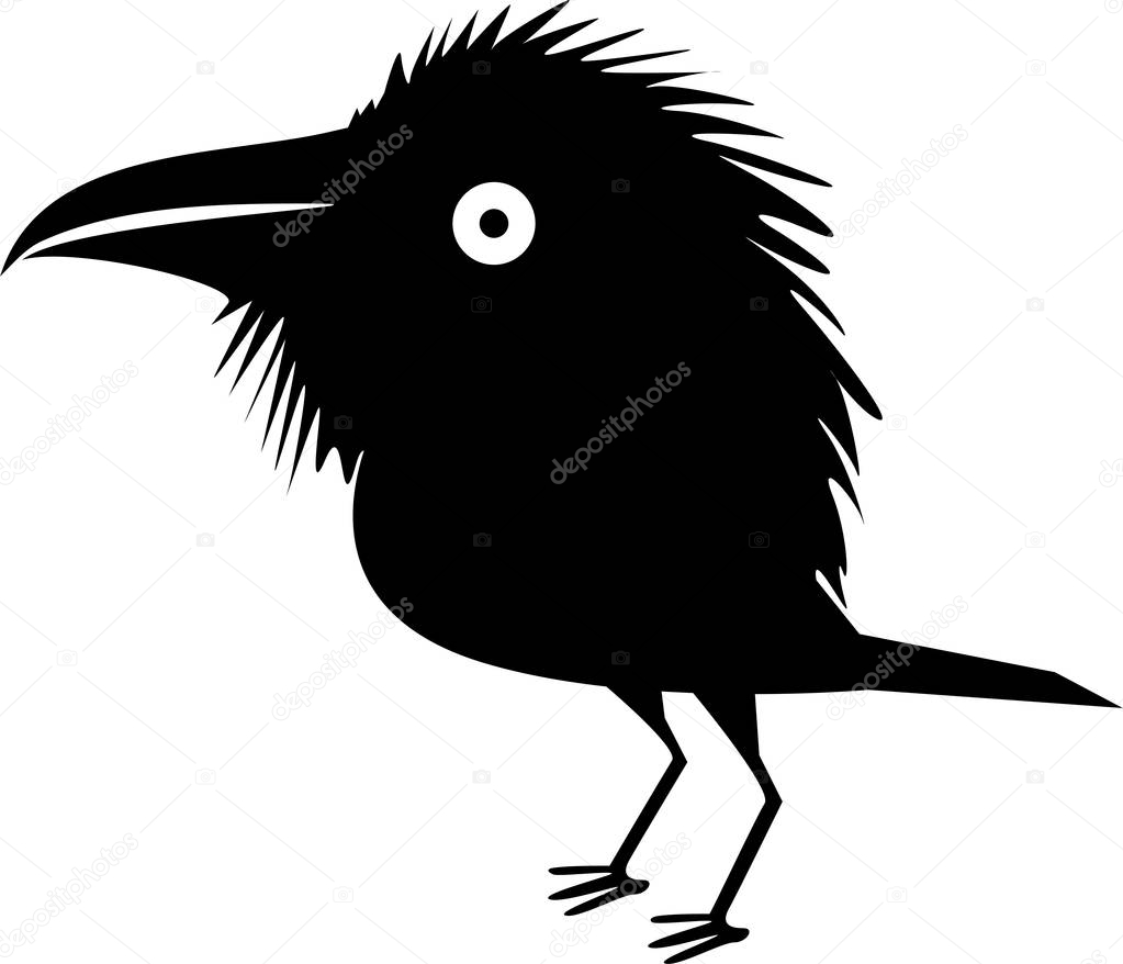 Funny black crow