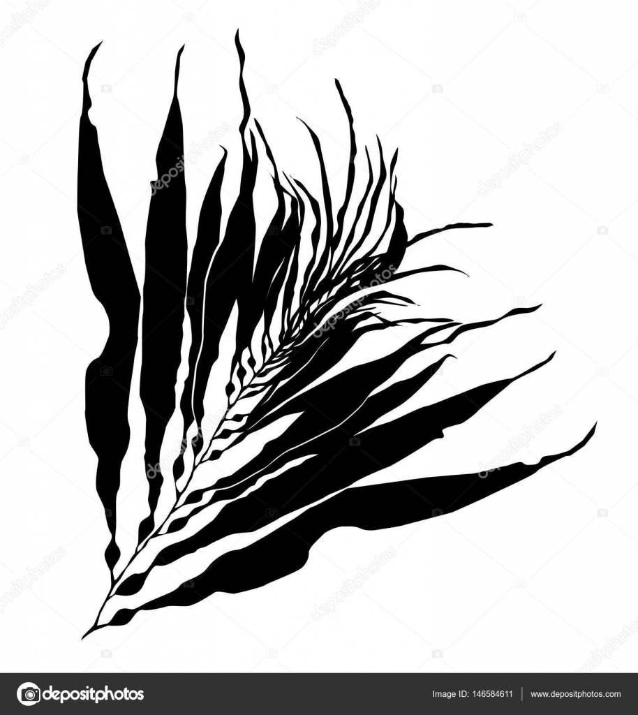 Um desenho preto e branco de uma planta de cacto em um círculo generativo  ai
