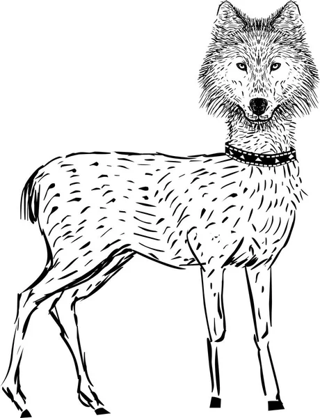 狼的头和鹿身体的生物 — 图库矢量图片