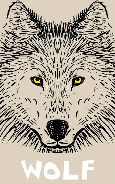 Ilustração cabeça de lobo — Vetor de Stock