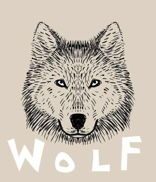 Wolf-Kopf-Illustration — Stockvektor