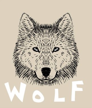 Kurt el çizilen illüstrasyon