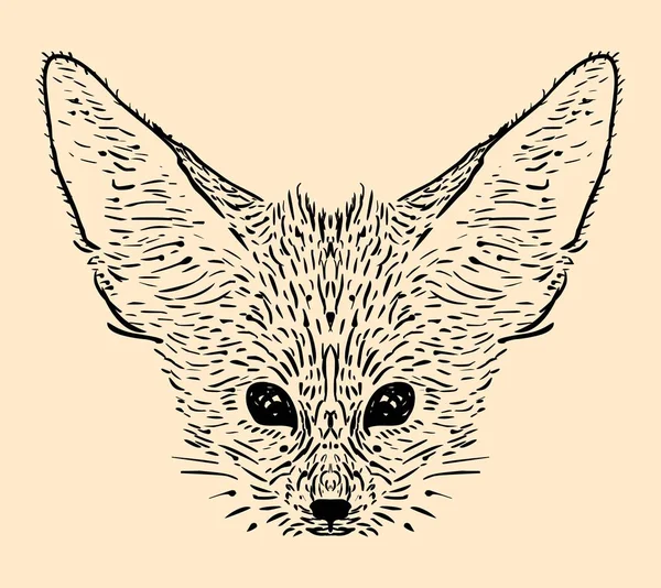 Fennec räv illustration — Stockfoto