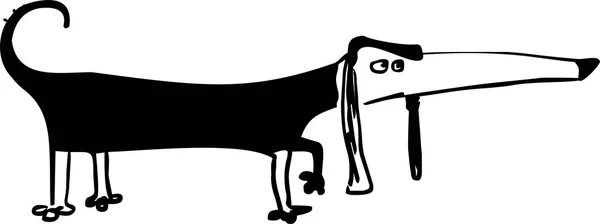 Funny dachshund dog illustration — Stock Vector