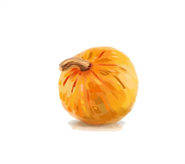 Illustrazione Zucca Arancione Isolato Sfondo Bianco — Foto Stock