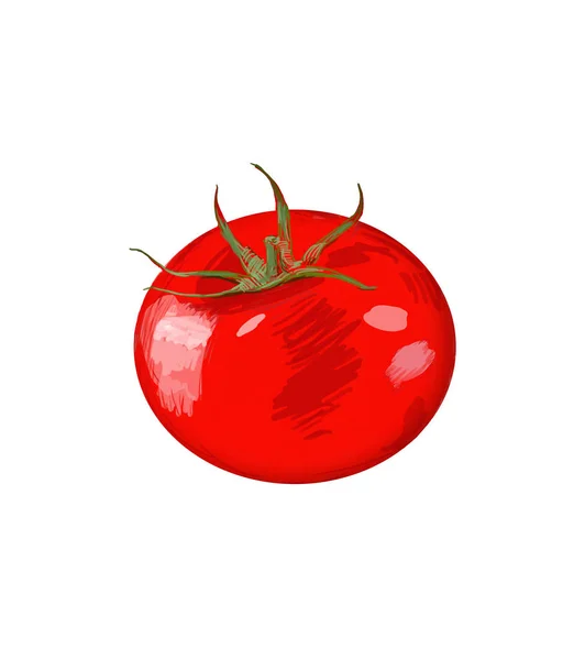 背景に描かれたトマトイラスト — ストック写真