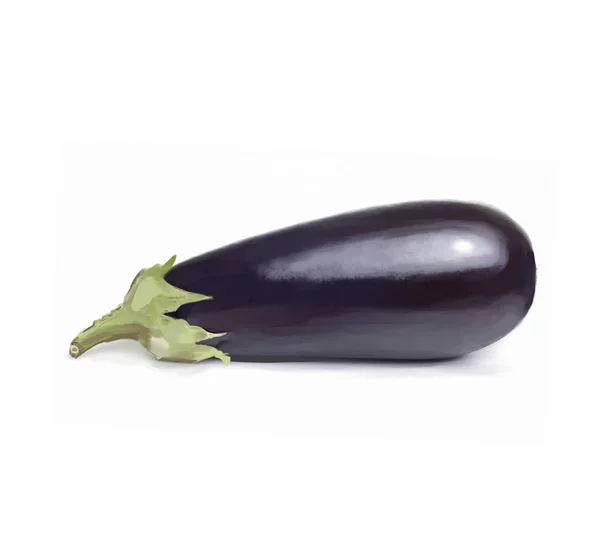 Illustration Eggplant Isolated White — Stock Photo, Image