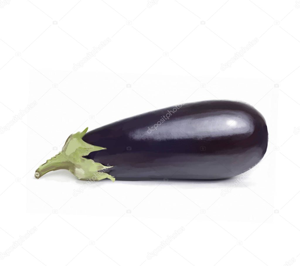 Illustration of eggplant isolated on white