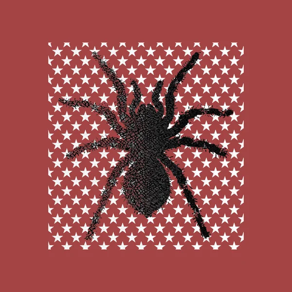 Tarantula Spider Star Pattern Background — 스톡 사진