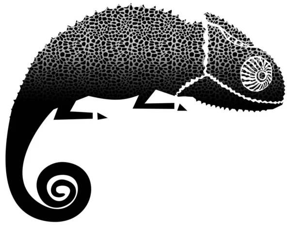 Chameleon Illustration Isolated White — Stock Photo, Image