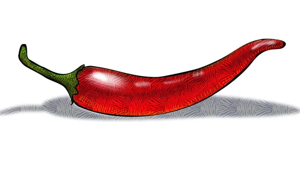 Illustration Red Chilli Pepper Isolated White Background — Stock Photo, Image