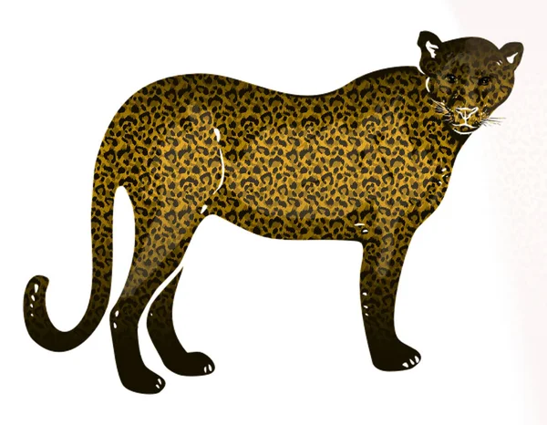 Ilustração Leopardo Isolada Fundo — Fotografia de Stock