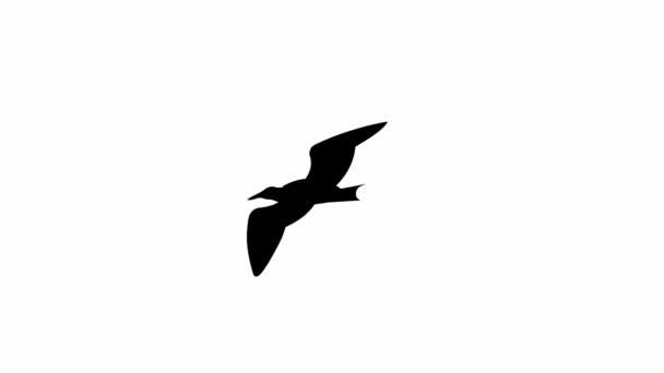 Seagull Flying Seamless Loop Animation — Stock Video