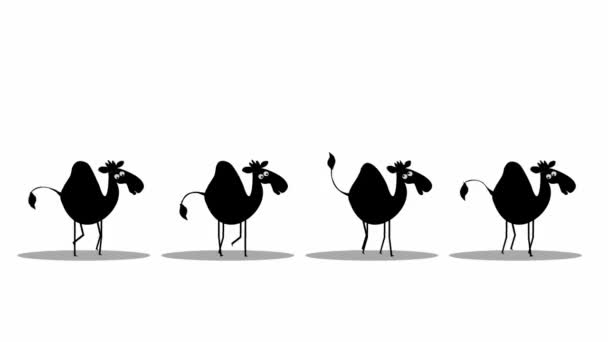 面白いラクダの歩行 シームレスループアニメーション — ストック動画