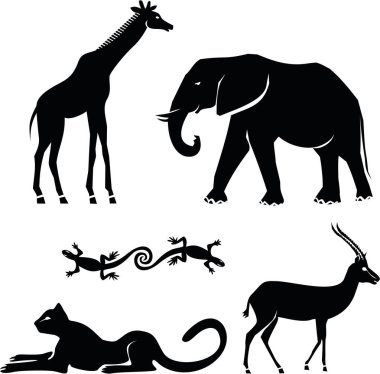Afrika hayvanları: zürafa, fil, çita, ceylan, semender