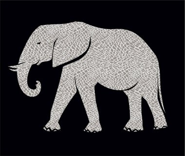 Siyah arkaplanda fil resmi