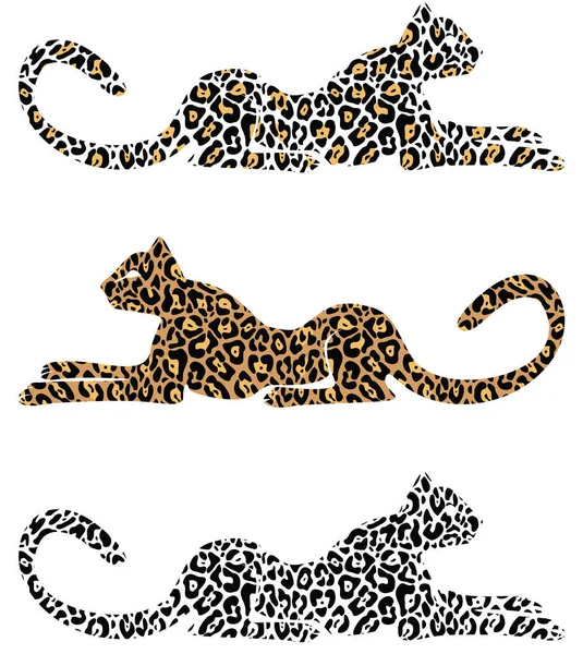 Set Different Spotted Cheetah —  Fotos de Stock