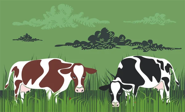 Vacas Engraçadas Dos Desenhos Animados Prado — Fotografia de Stock